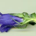 Img.VTax2940.ExN.Img8