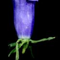 Img.VTax2940.ExN.Img9