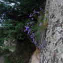 Img.VTax2954.ExN.Img10