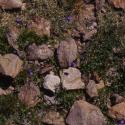 Img.VTax2956.ExN.Img5