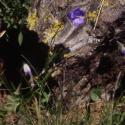 Img.VTax2956.ExN.Img6