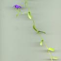 Img.VTax2962.ExN.Img7