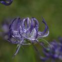 Img.VTax2967.ExN.Img2