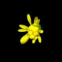 Img.VTax2986.ExN.Img7