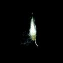 Img.VTax3015.ExN.Img7