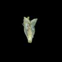 Img.VTax3069.ExN.Img8