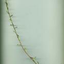 Img.VTax3101.ExN.Img4