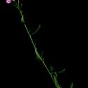 Img.VTax3106.ExN.Img11