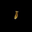 Img.VTax3110.ExN.Img9