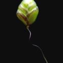 Img.VTax3935.ExN.Img8