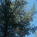 Img.VTax114.ExN.Img15