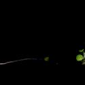 Img.VTax1149.ExN.Img8