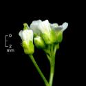 Img.VTax1211.ExN.Img6