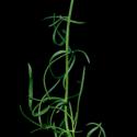 Img.VTax1215.ExN.Img10