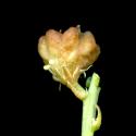 Img.VTax1215.ExN.Img7