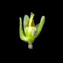 Img.VTax1285.ExN.Img6