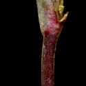Img.VTax1301.ExN.Img9