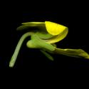 Img.VTax1302.ExN.Img9