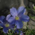 Img.VTax1410.ExN.Img3