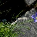 Img.VTax1410.ExN.Img6
