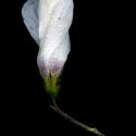 Img.VTax1415.ExN.Img1