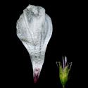 Img.VTax1415.ExN.Img3