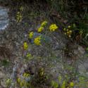 Img.VTax1567.ExN.Img4