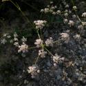 Img.VTax1589.ExN.Img9