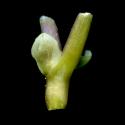 Img.VTax165.ExN.Img9