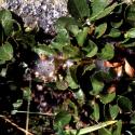 Img.VTax1674.ExN.Img3