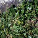 Img.VTax1674.ExN.Img8