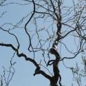 Img.VTax1694.ExN.Img7