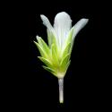 Img.VTax1870.ExN.Img9