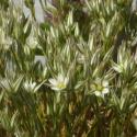 Img.VTax1884.ExN.Img6