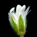 Img.VTax1919.ExN.Img6