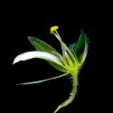 Img.VTax1920.ExN.Img7