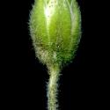 Img.VTax1920.ExN.Img9