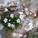 Img.VTax2014.ExN.Img3
