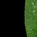Img.VTax2014.ExN.Img5