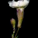 Img.VTax2014.ExN.Img7