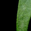 Img.VTax2014.ExN.Img8