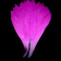 Img.VTax2052.ExN.Img9