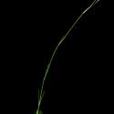 Img.VTax2055.ExN.Img10