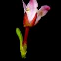 Img.VTax2143.ExN.Img6