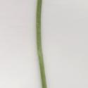 Img.VTax218.ExN.Img3