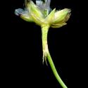 Img.VTax2229.ExN.Img3