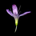 Img.VTax2229.ExN.Img7