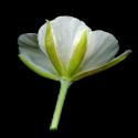 Img.VTax226.ExN.Img7