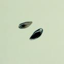 Img.VTax2364.ExN.Img4