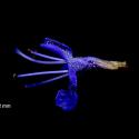 Img.VTax2487.ExN.Img6